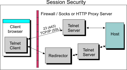 top Session security through a firewall or proxy server