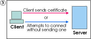 Client sends a certificate or tries to establish a session without one